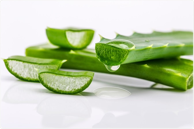 https://www.ayuryog.org/sites/default/files/aloe.jpeg