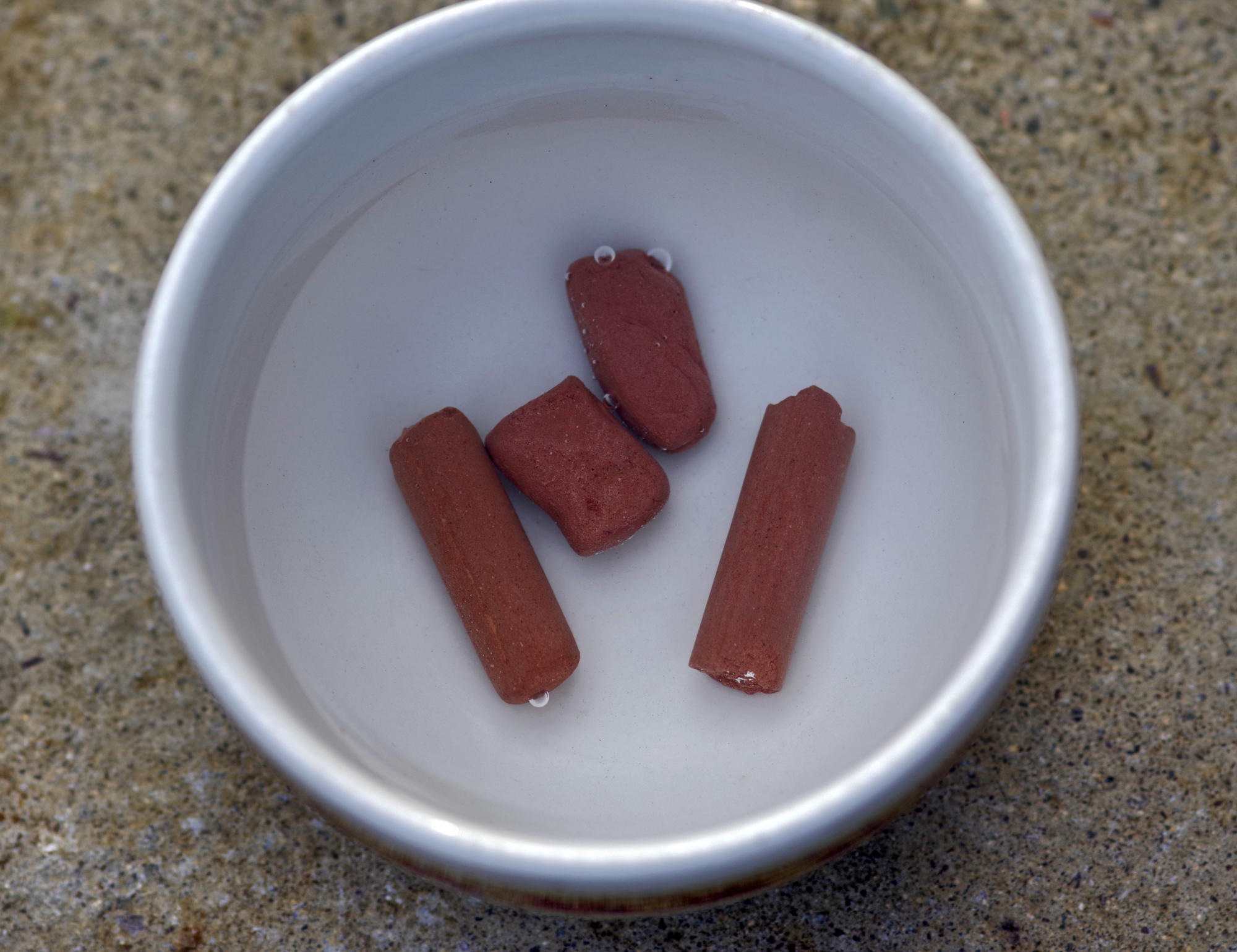soaking coral