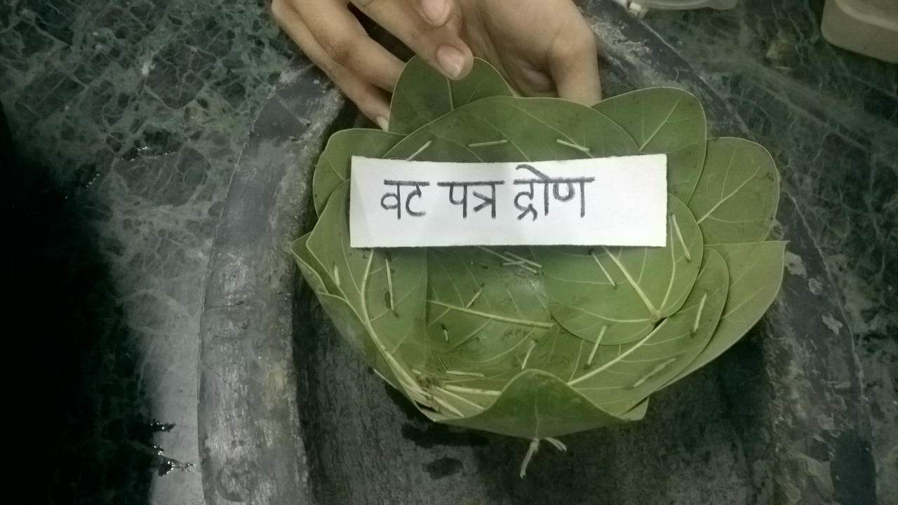 http://ayuryog.org/sites/default/files/fig_leaf_bowl.jpg