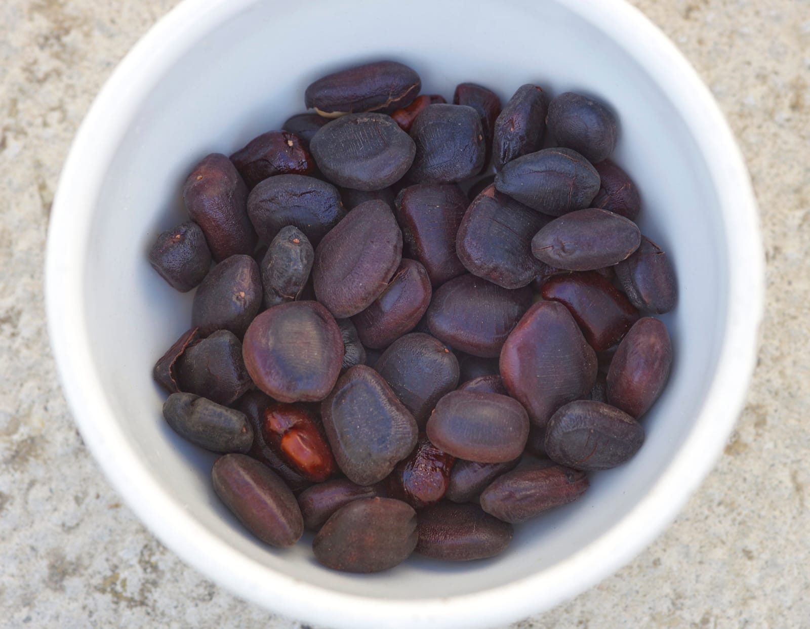http://ayuryog.org/sites/default/files/tamarind_seeds.jpg