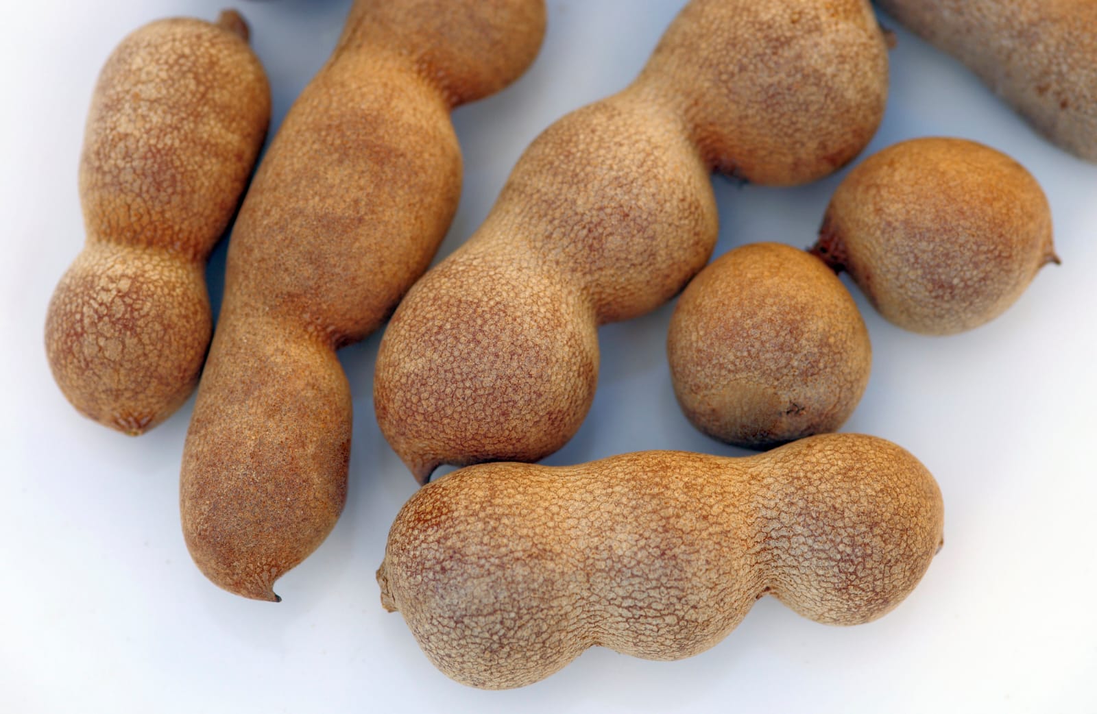 http://ayuryog.org/sites/default/files/tamarind_seeds_in_pod.jpg
