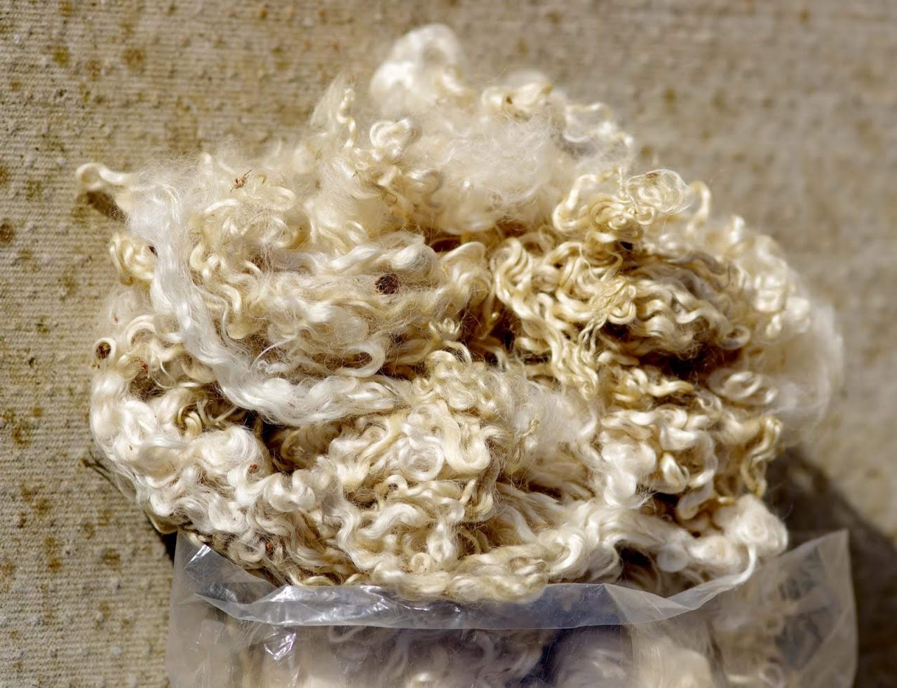 http://ayuryog.org/sites/default/files/wool.jpg