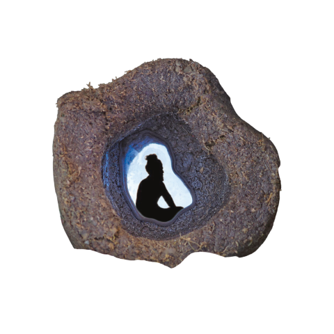 Sadhu in mercury — AyurYog project image